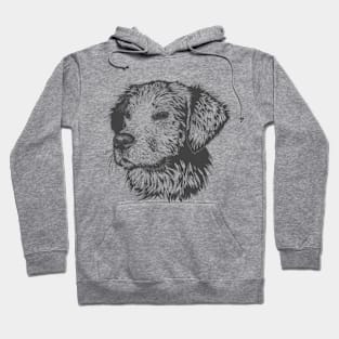 Drawn dog Hoodie